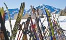 Выбираем беговые лыжи правильно: инструкции для начинающих Беговые лыжи вес
