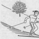 Лукоянов П.И. Зимние спортивные походы. Как кататься на беговых лыжах: основные правила Как-тормозить на беговых лыжах с горы